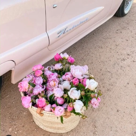 Hello 🌷 - Picture 4 of 11